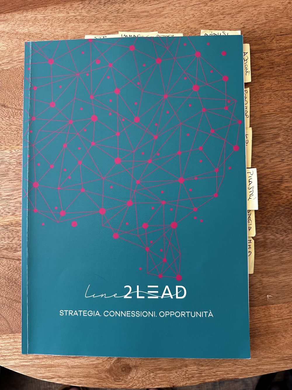 Piano di marketing strategico Line2LEAD stampato