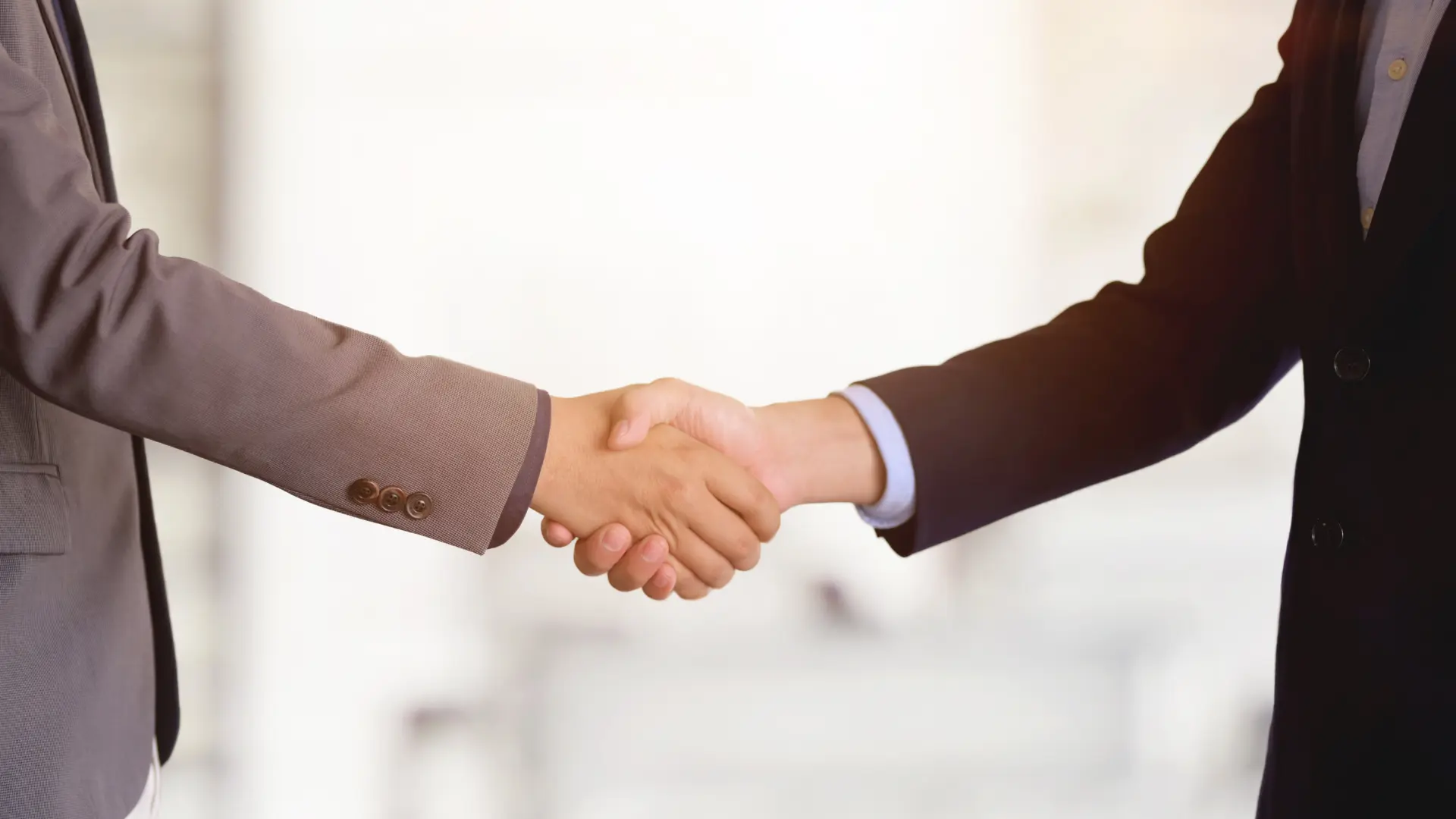 stretta di mano tra partner